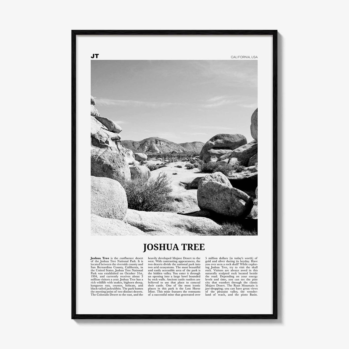 Joshua Tree National Park Print Black and White No 2, Joshua Tree Wall Art, Joshua Tree Poster, Joshua Tree Photo, California, USA