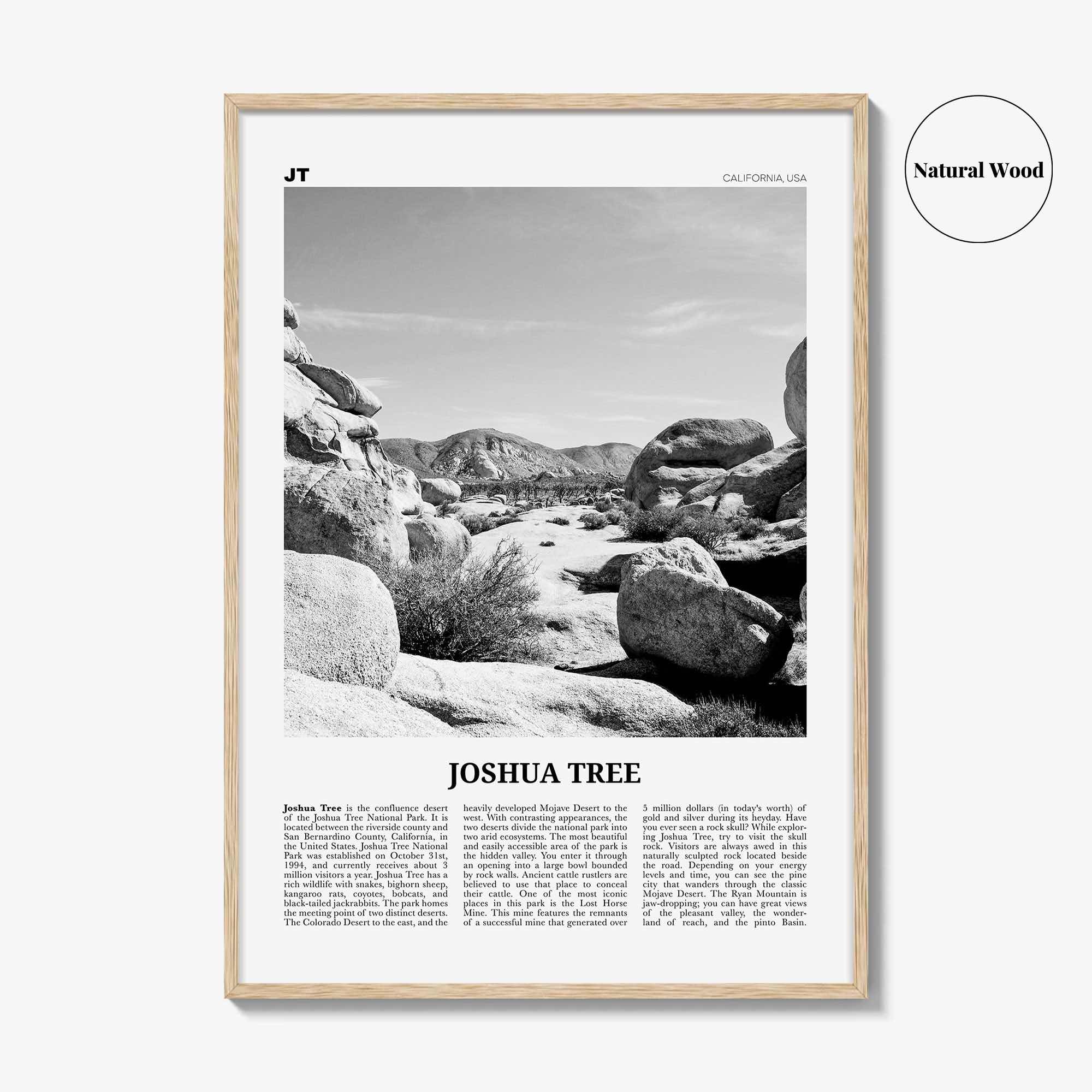 Joshua Tree National Park Print Black and White No 2, Joshua Tree Wall Art, Joshua Tree Poster, Joshua Tree Photo, California, USA