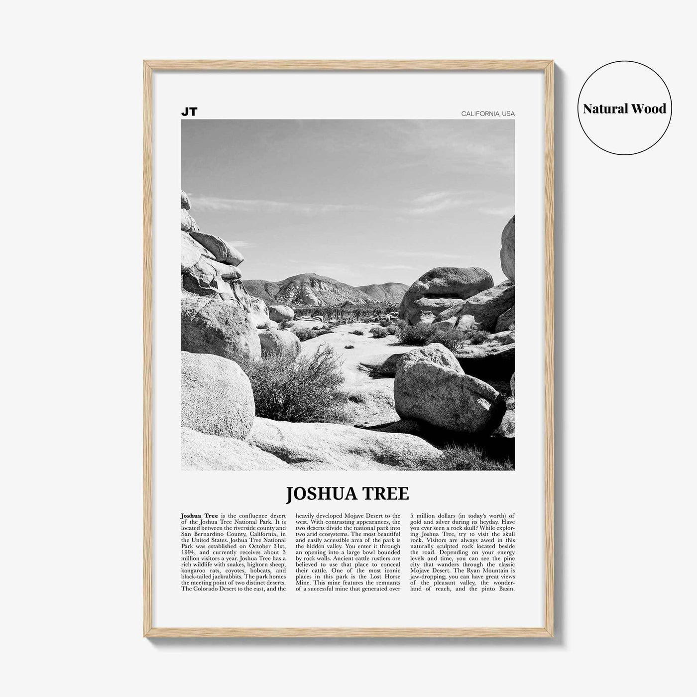 Joshua Tree National Park Print Black and White No 2, Joshua Tree Wall Art, Joshua Tree Poster, Joshua Tree Photo, California, USA