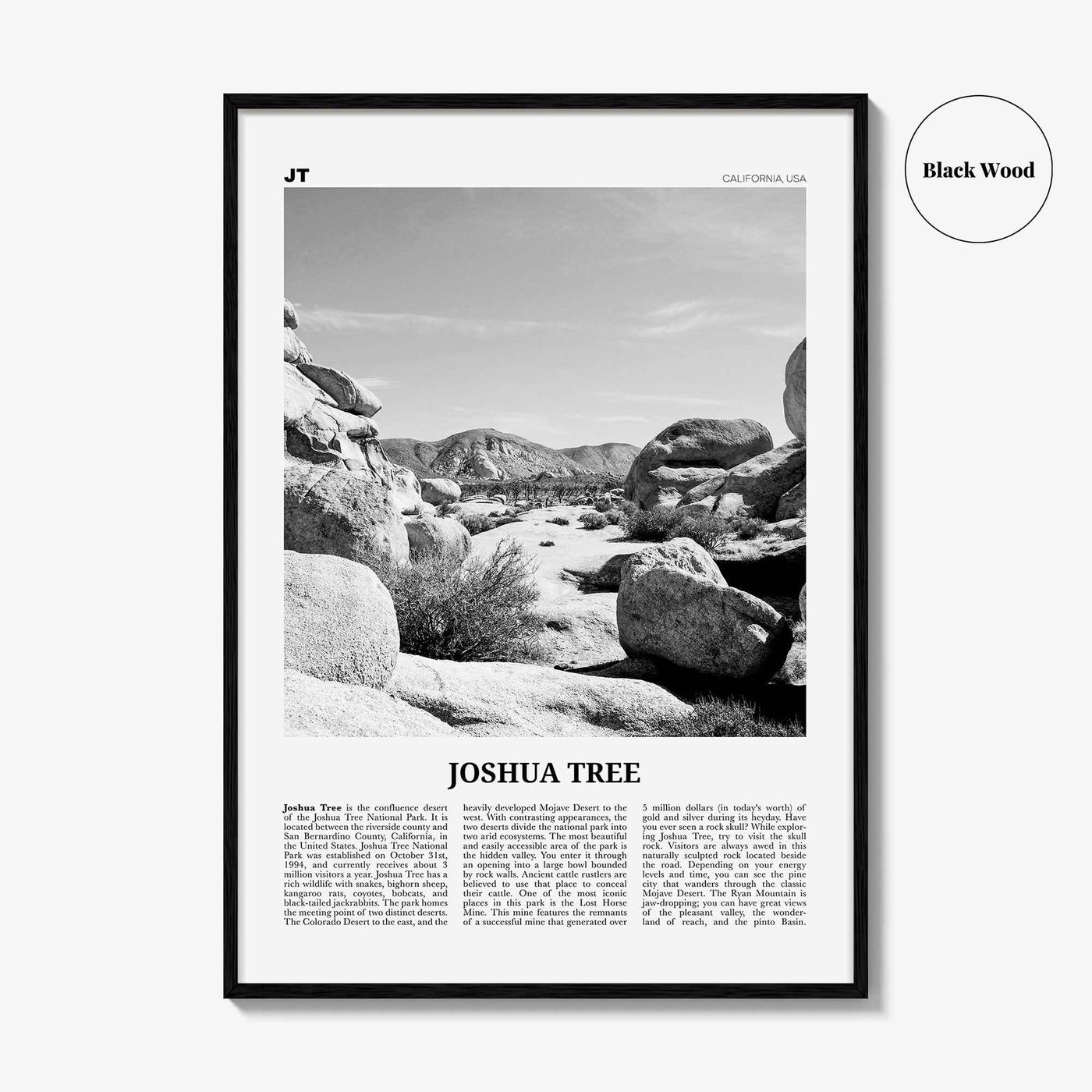 Joshua Tree National Park Print Black and White No 2, Joshua Tree Wall Art, Joshua Tree Poster, Joshua Tree Photo, California, USA