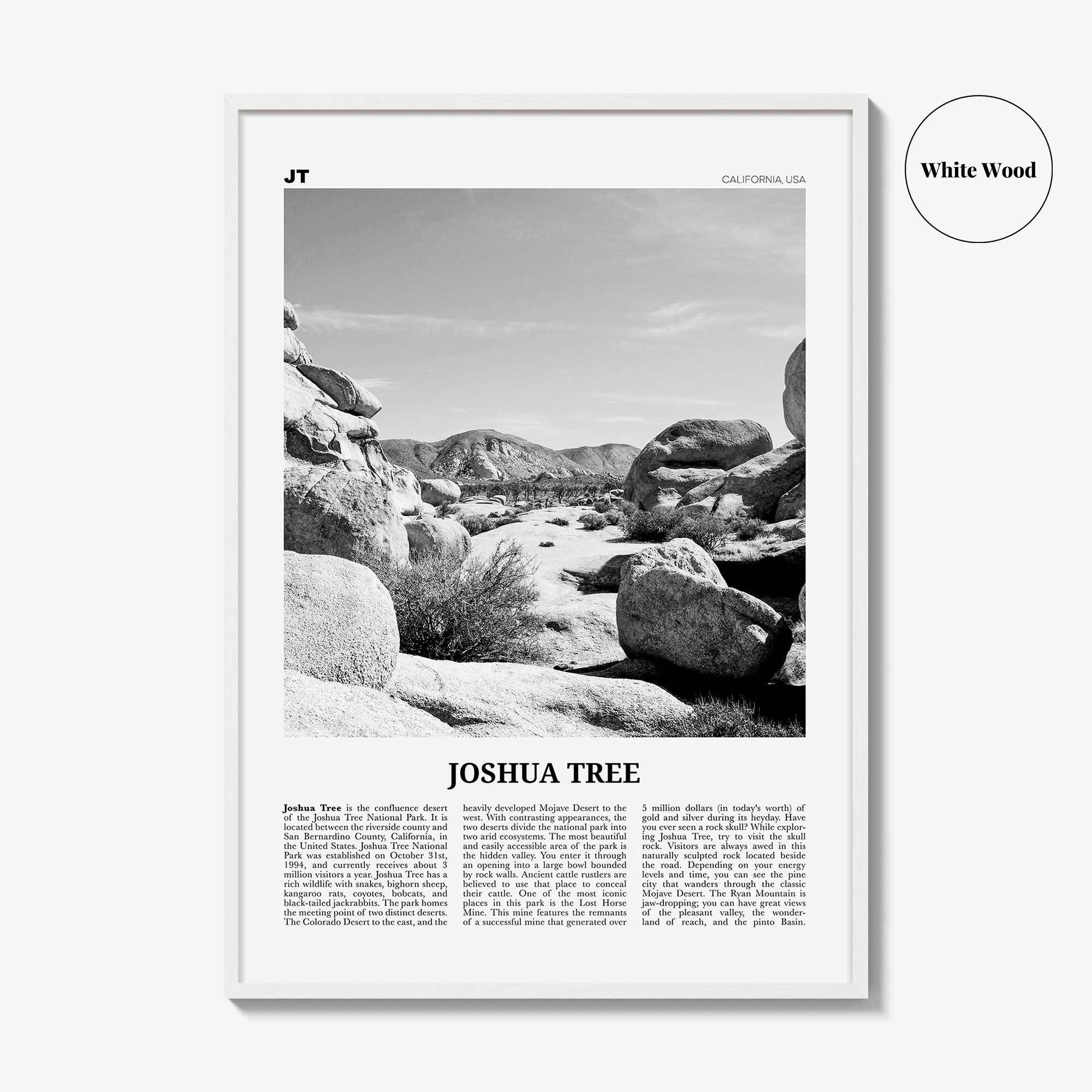 Joshua Tree National Park Print Black and White No 2, Joshua Tree Wall Art, Joshua Tree Poster, Joshua Tree Photo, California, USA