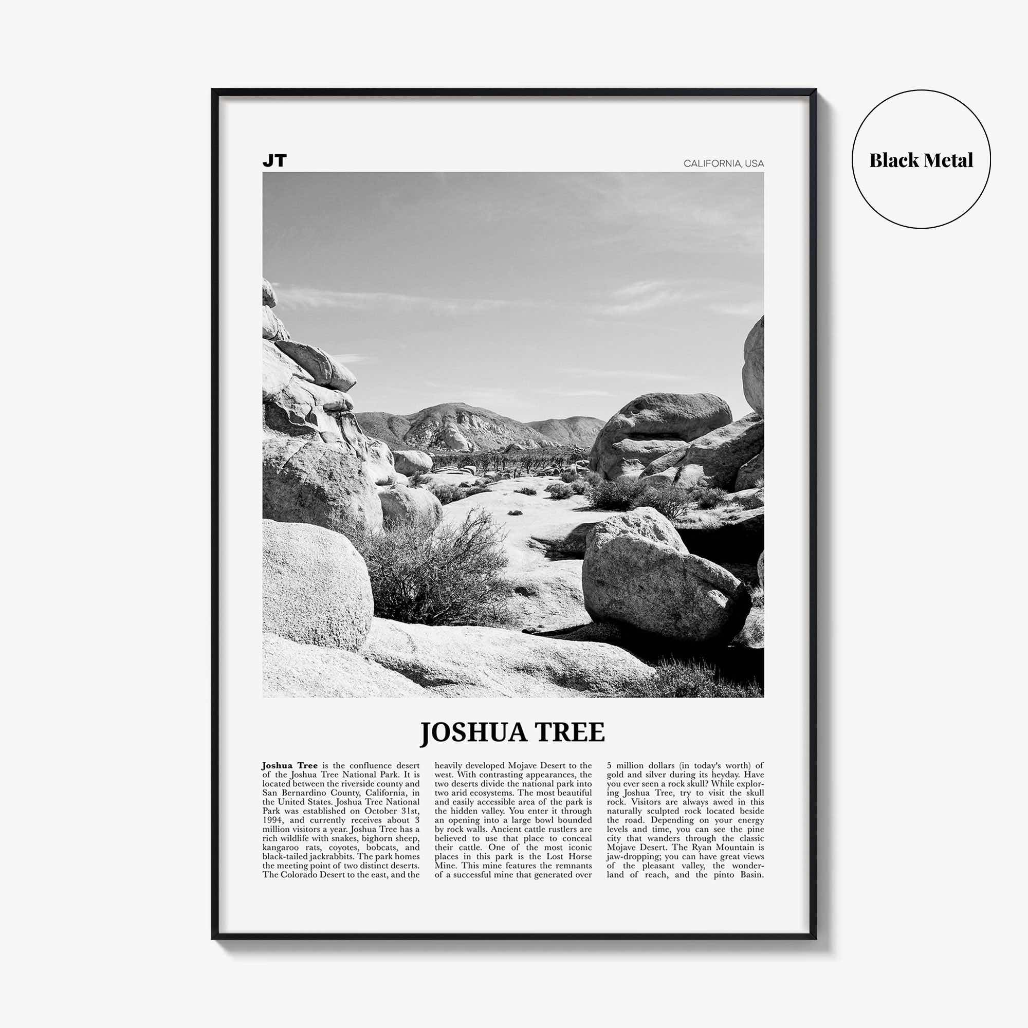 Joshua Tree National Park Print Black and White No 2, Joshua Tree Wall Art, Joshua Tree Poster, Joshua Tree Photo, California, USA