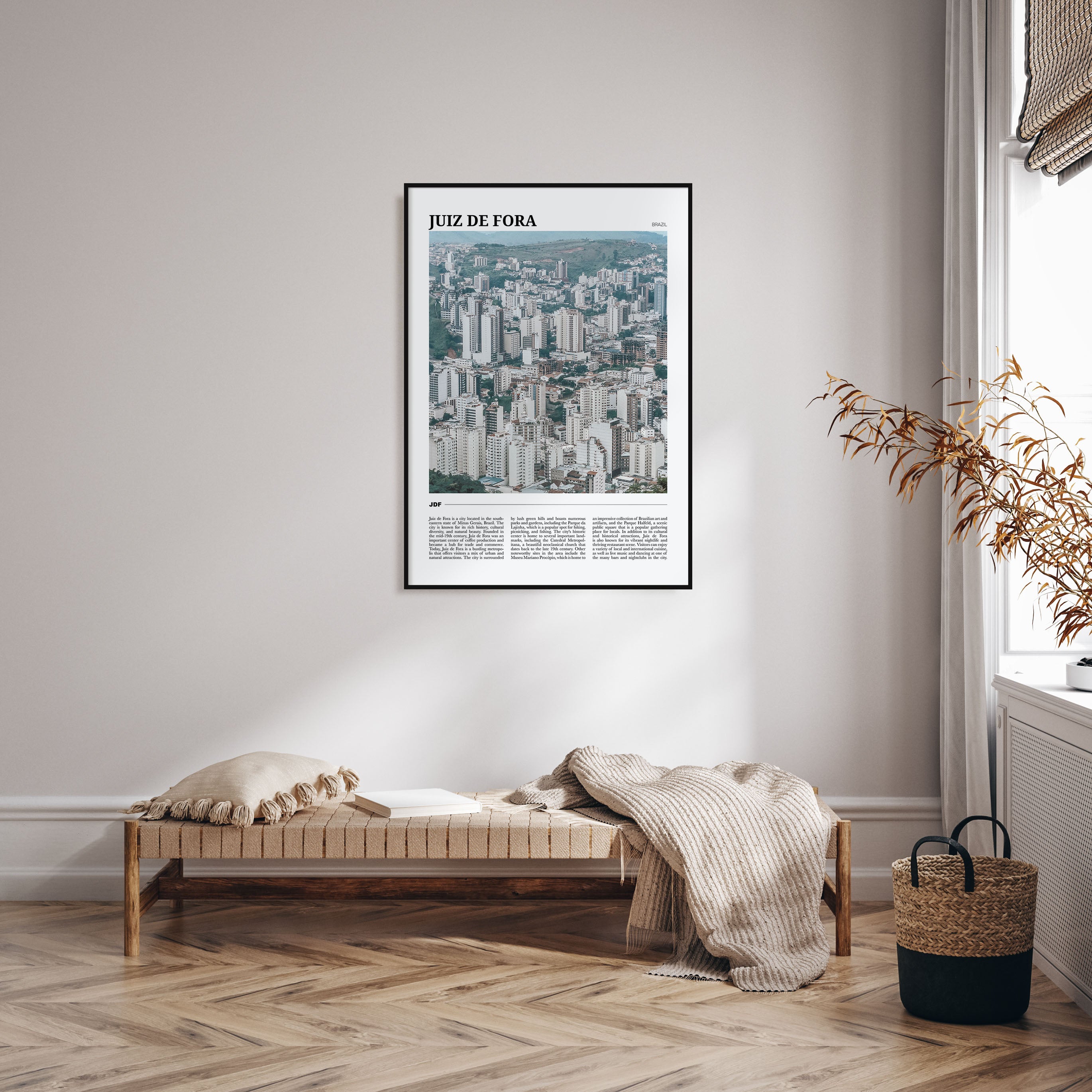 Juiz de Fora Travel Color Poster