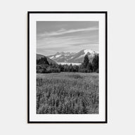 Juneau Photo B&W Poster