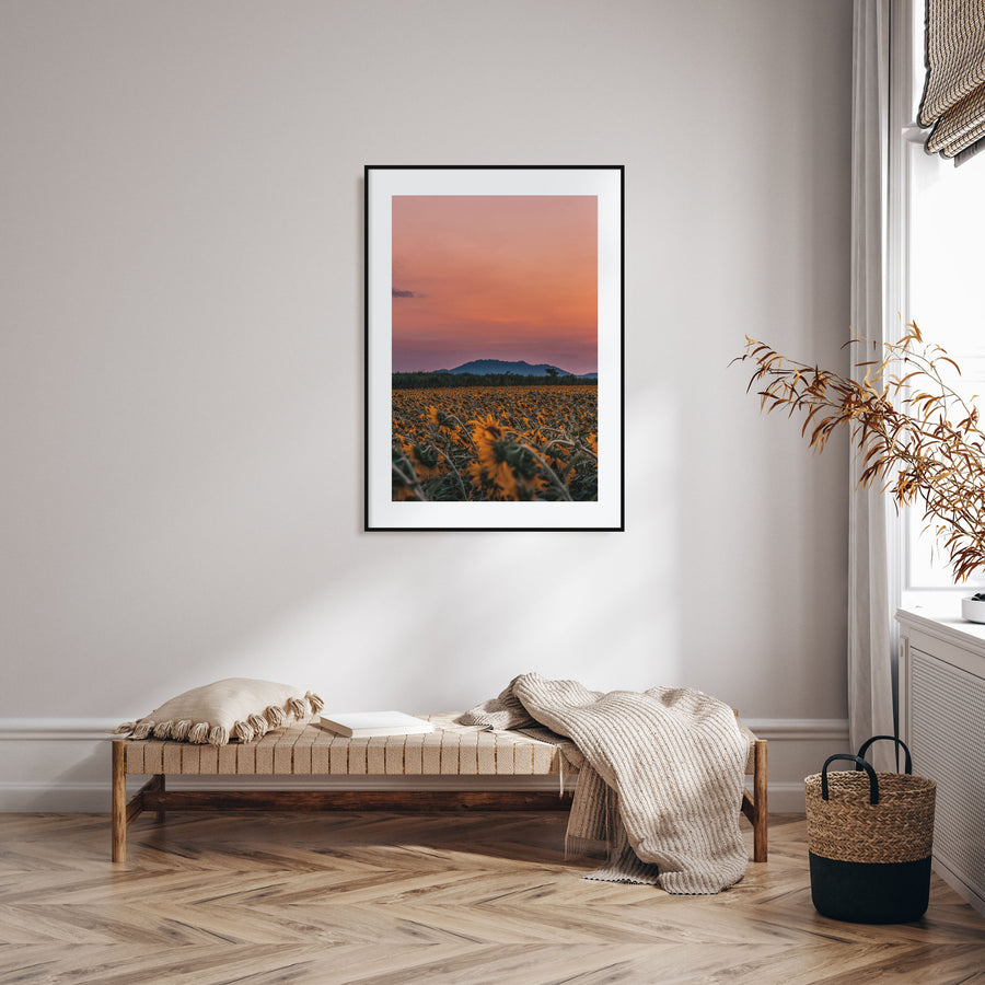 Kansas Photo Color No 1 Poster