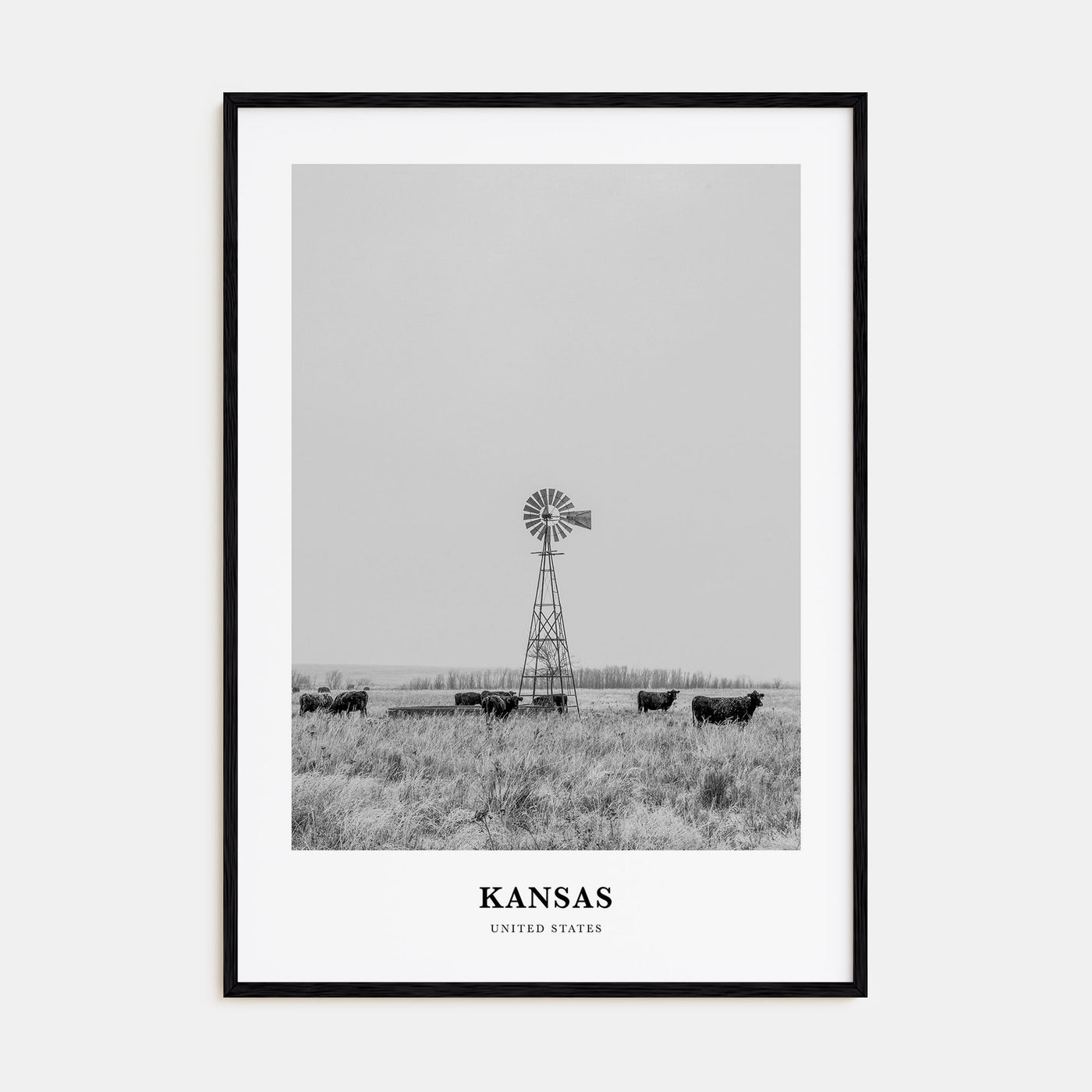 Kansas Portrait B&W Poster