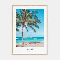Kauai Portrait Color Poster