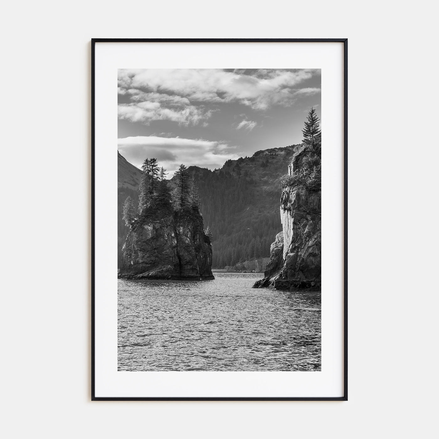 Kenai Fjords National Park Photo B&W Poster