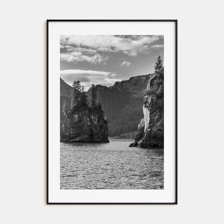 Kenai Fjords National Park Photo B&W Poster