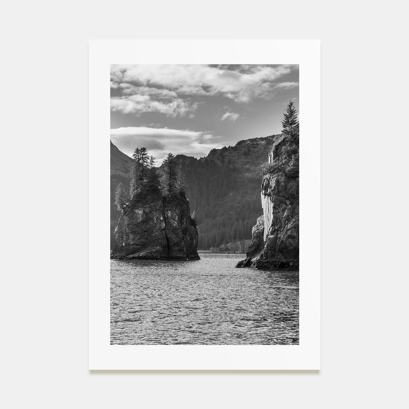 Kenai Fjords National Park Photo B&W Poster