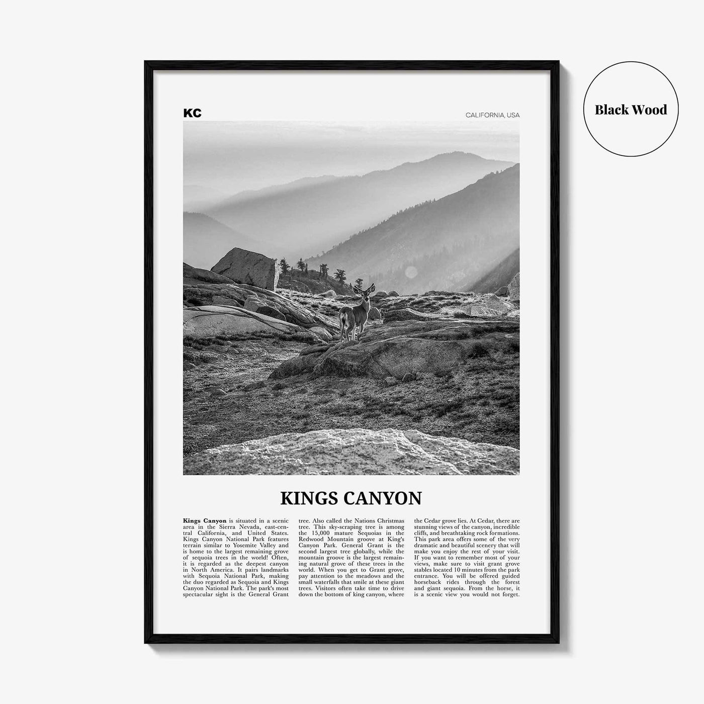 Kings Canyon National Park Print Black and White, Kings Canyon Wall Art, Kings Canyon Poster, Kings Canyon Photo, California, USA