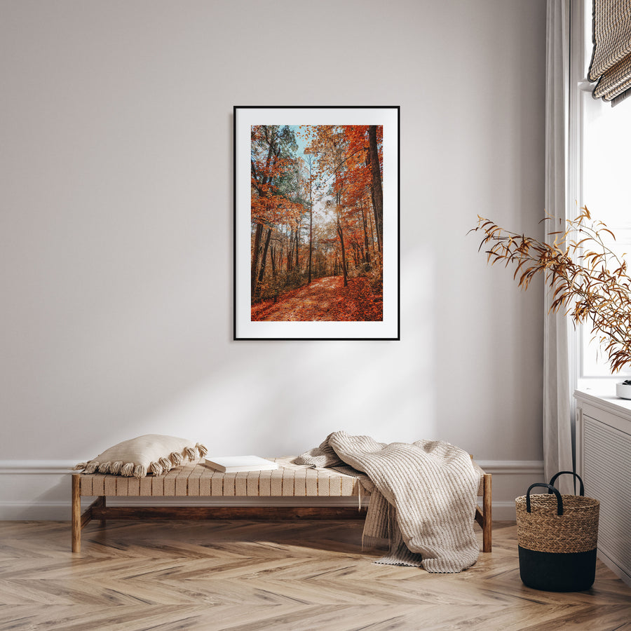 Knoxville Photo Color No 3 Poster