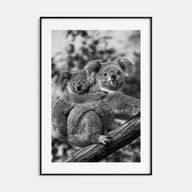 Koala Photo B&W No 1 Poster