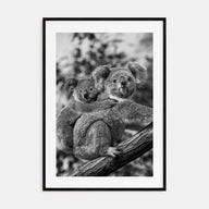 Koala Photo B&W No 1 Poster