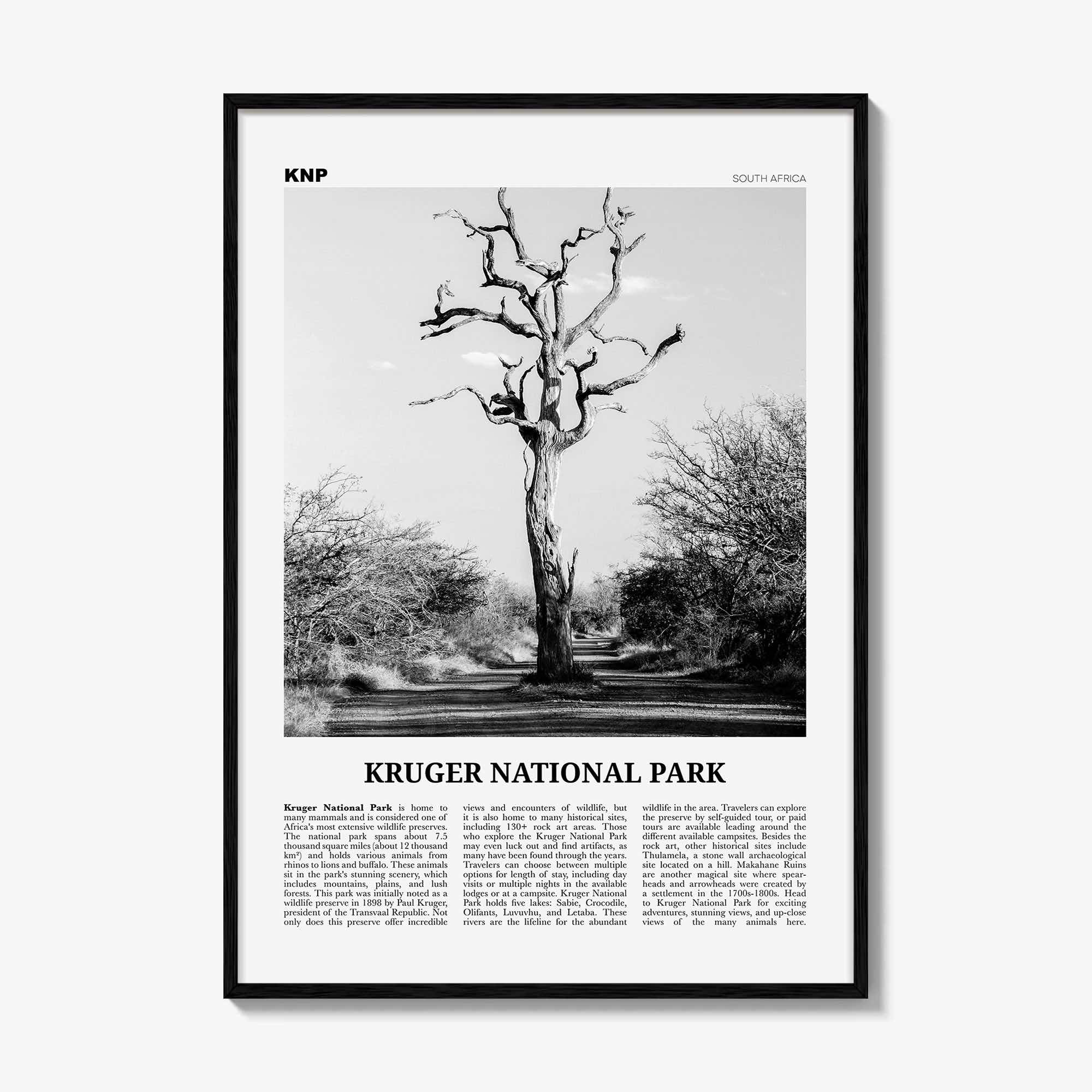 Kruger National Park Print Black and White, Kruger Wall Art, Kruger Poster, Kruger Photo, Kruger Wall Décor, Kruger Map, South Africa