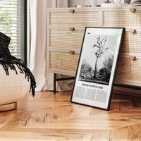 Kruger National Park Print Black and White, Kruger Wall Art, Kruger Poster, Kruger Photo, Kruger Wall Décor, Kruger Map, South Africa