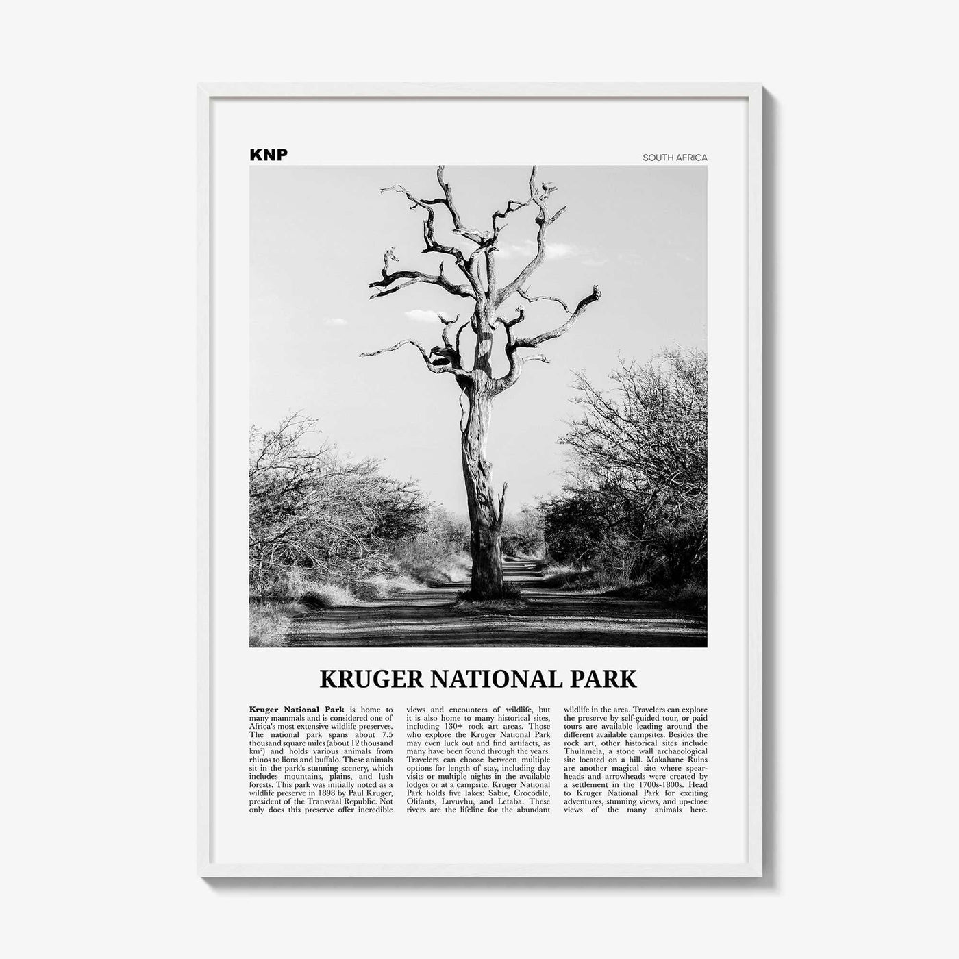 White Wood