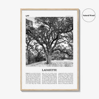 Lafayette Print Black and White California, Lafayette Wall Art, Lafayette Poster, Lafayette Photo, Lafayette Wall Décor, Lafayette Map, USA