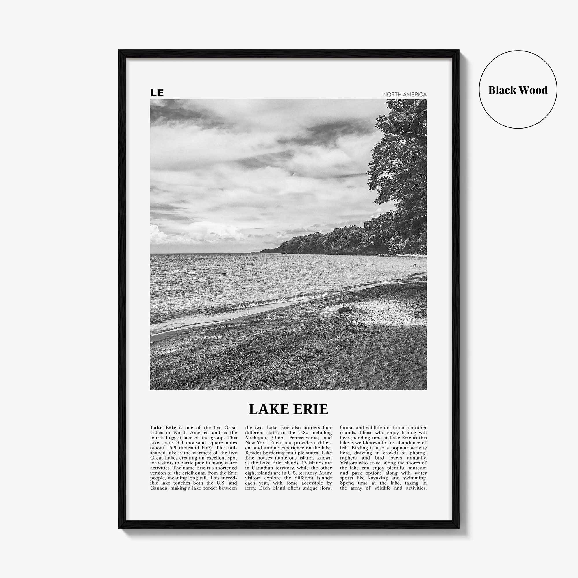 Lake Erie Print Black and White, Lake Erie Wall Art, Lake Erie Poster, Lake Erie Photo, Lake Erie Wall Décor, North America