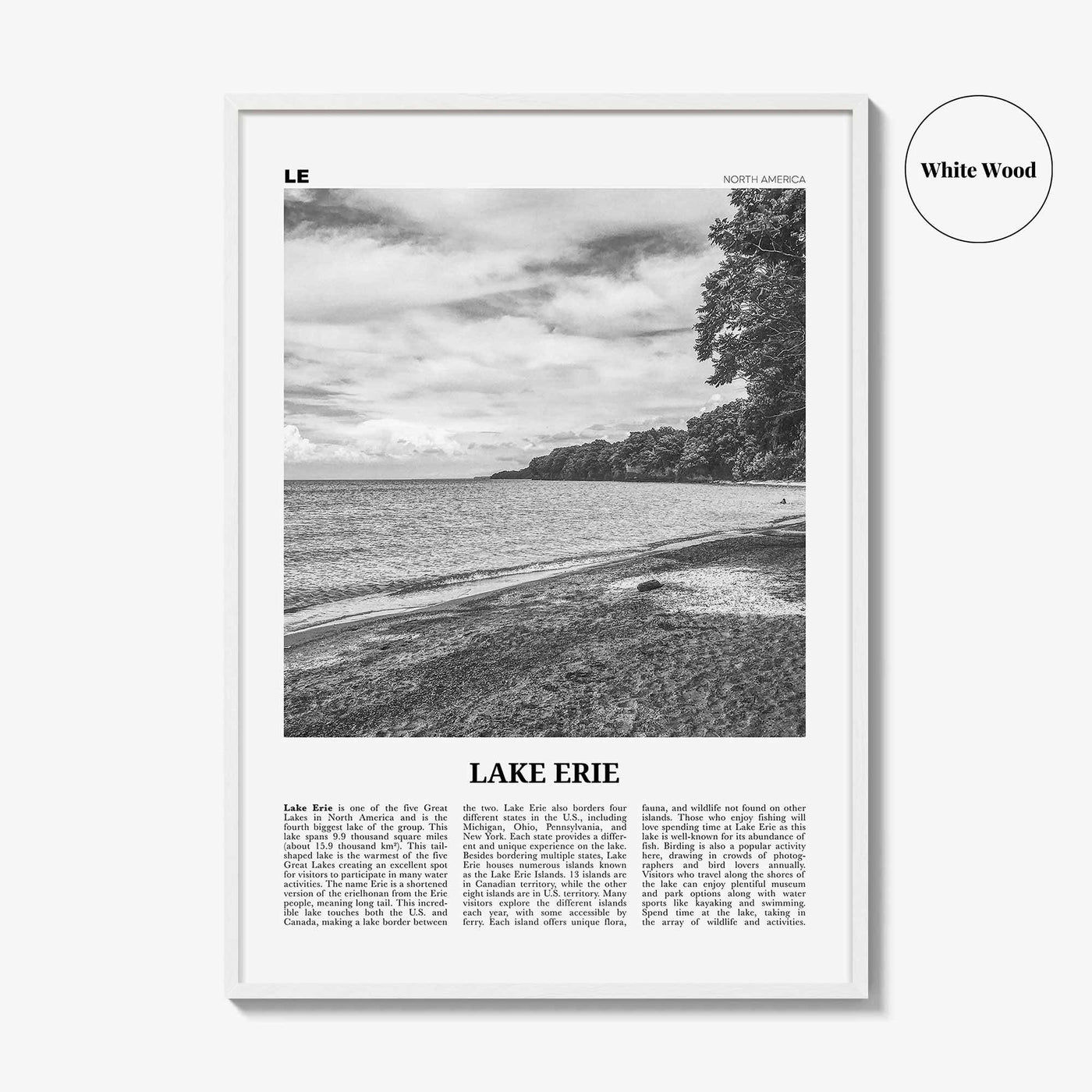 Lake Erie Print Black and White, Lake Erie Wall Art, Lake Erie Poster, Lake Erie Photo, Lake Erie Wall Décor, North America