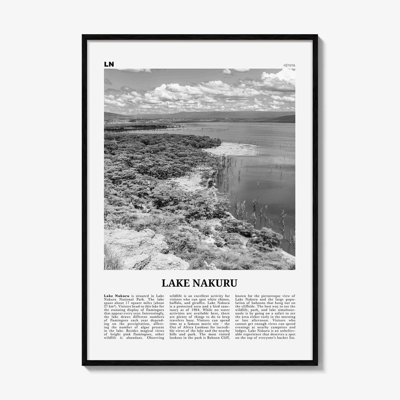Lake Nakuru Print Black and White, Lake Nakuru Wall Art, Lake Nakuru Poster, Lake Nakuru Photo, Lake Nakuru Wall Décor, Kenya