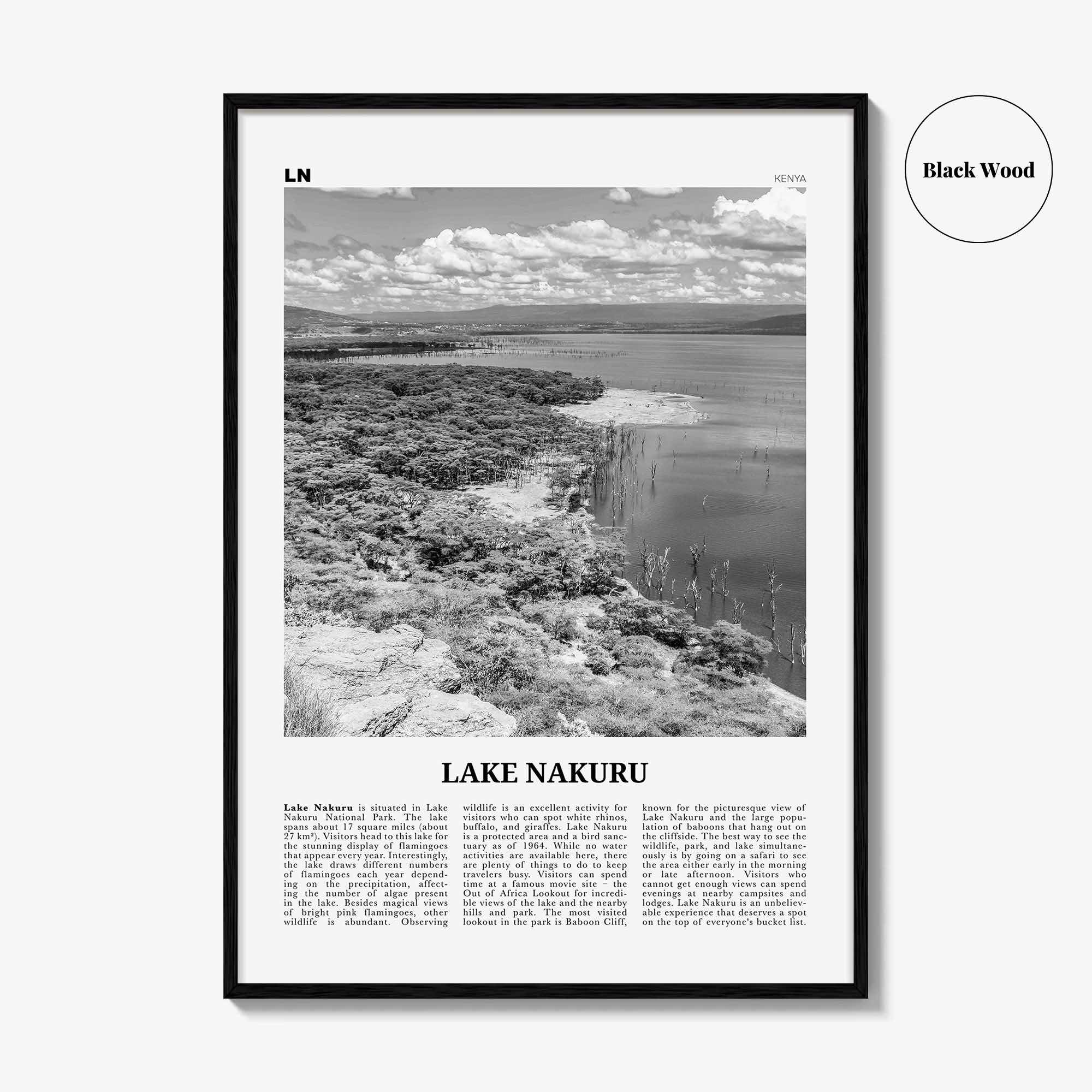 Lake Nakuru Print Black and White, Lake Nakuru Wall Art, Lake Nakuru Poster, Lake Nakuru Photo, Lake Nakuru Wall Décor, Kenya