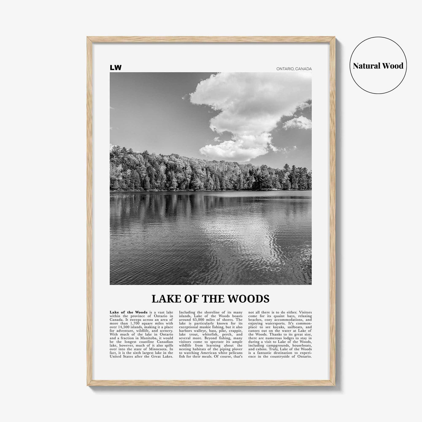 Lake of the Woods Print Black and White, Lake of the Woods Wall Art, Lake of the Woods Poster, Lake of the Woods Photo, Ontario, Canada