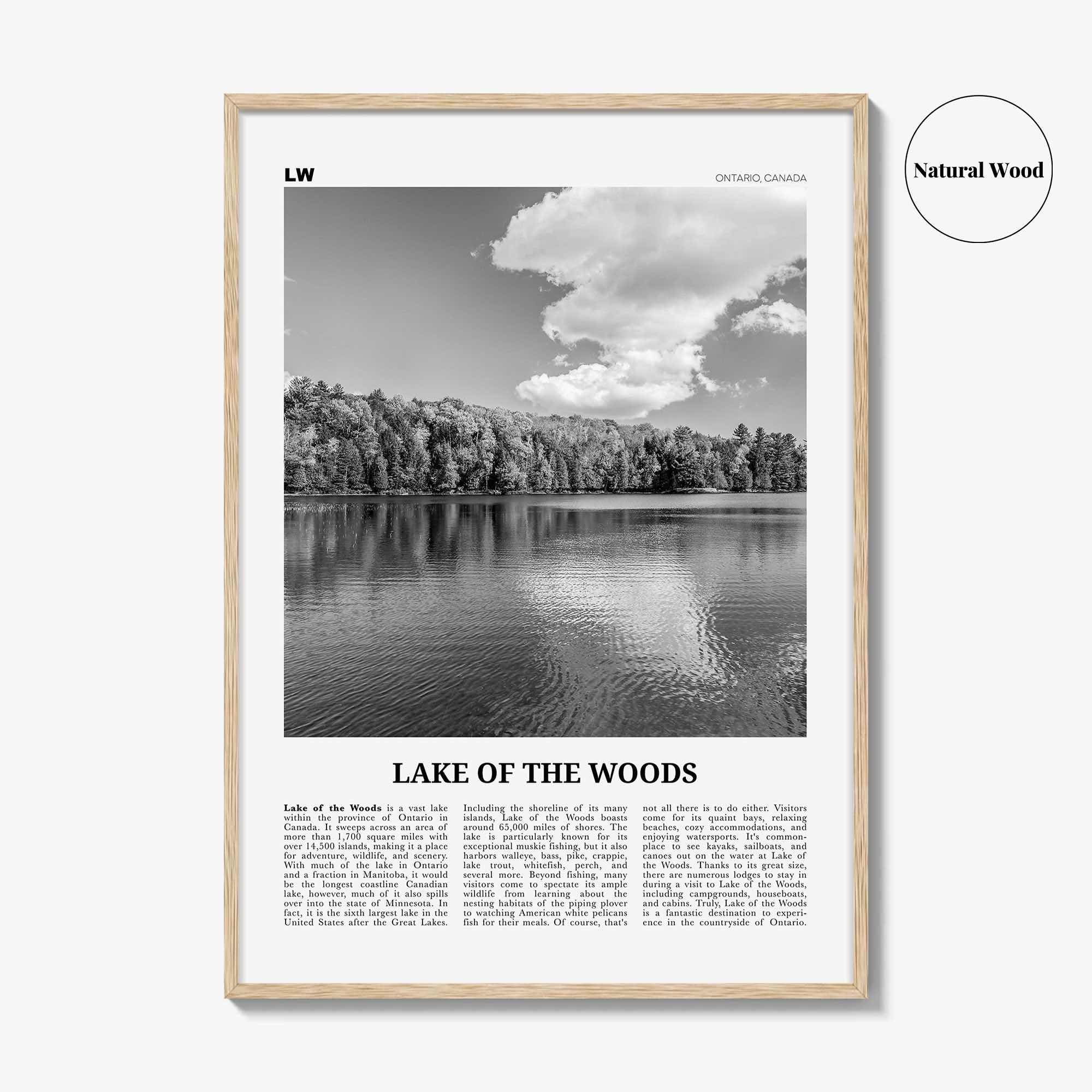 Lake of the Woods Print Black and White, Lake of the Woods Wall Art, Lake of the Woods Poster, Lake of the Woods Photo, Ontario, Canada