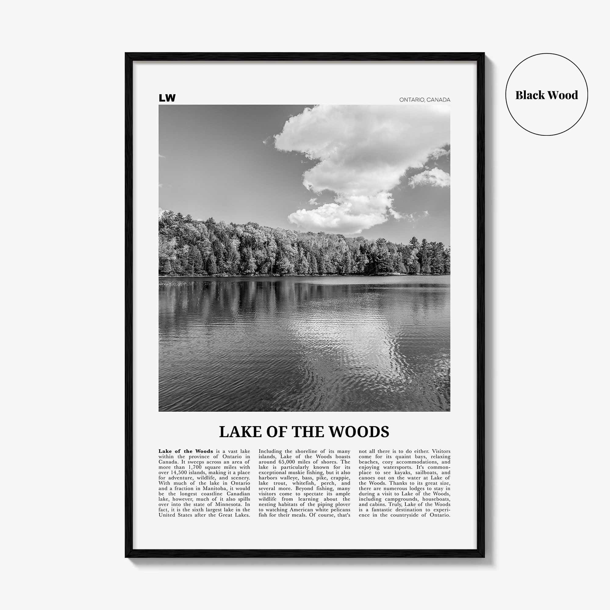 Lake of the Woods Print Black and White, Lake of the Woods Wall Art, Lake of the Woods Poster, Lake of the Woods Photo, Ontario, Canada