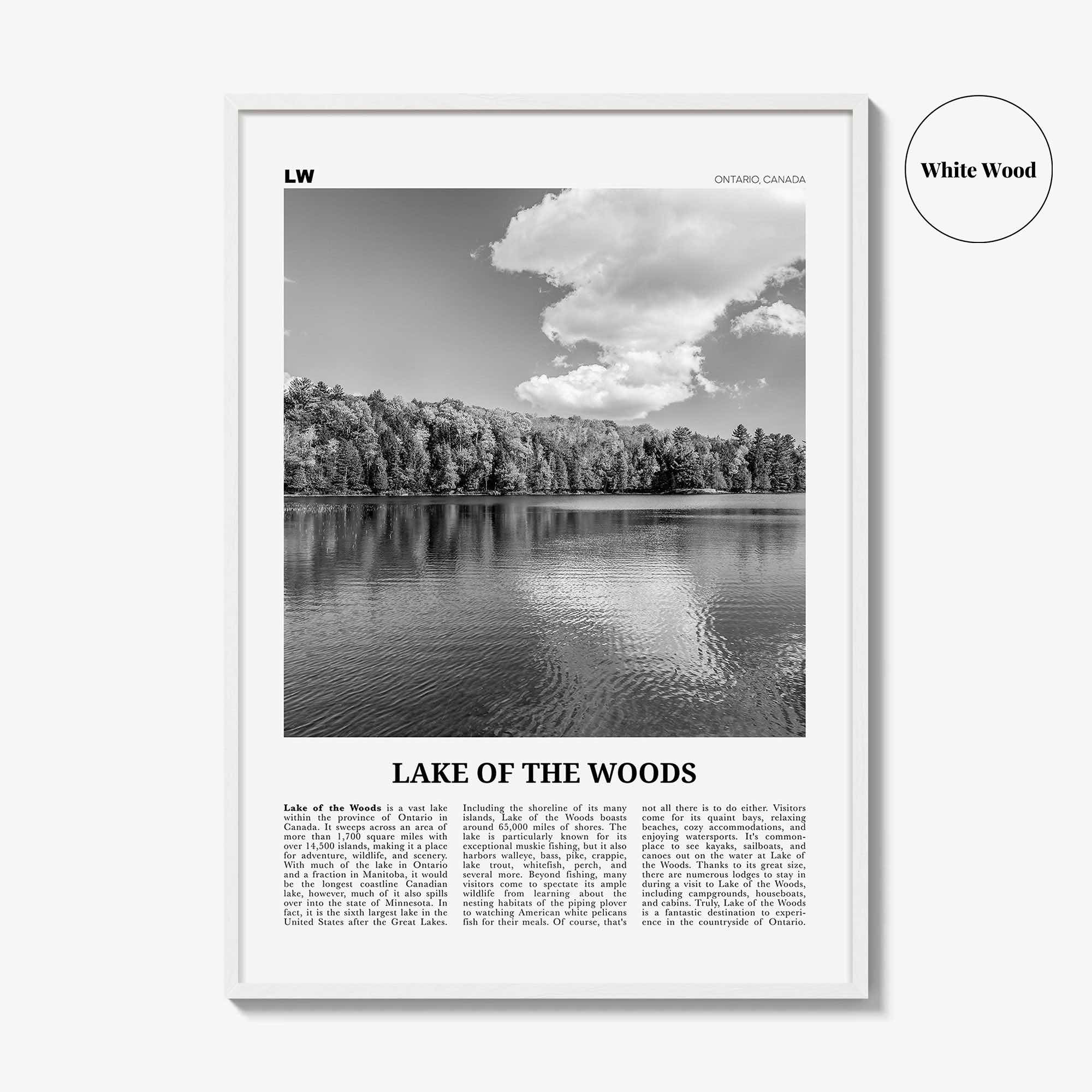 Lake of the Woods Print Black and White, Lake of the Woods Wall Art, Lake of the Woods Poster, Lake of the Woods Photo, Ontario, Canada