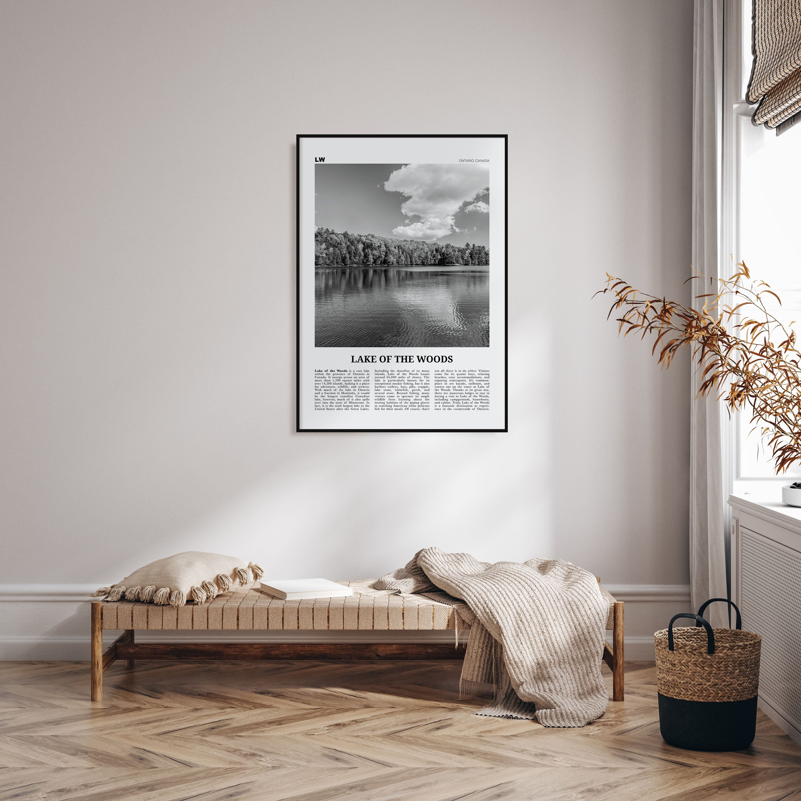 Lake of the Woods Travel B&W Poster