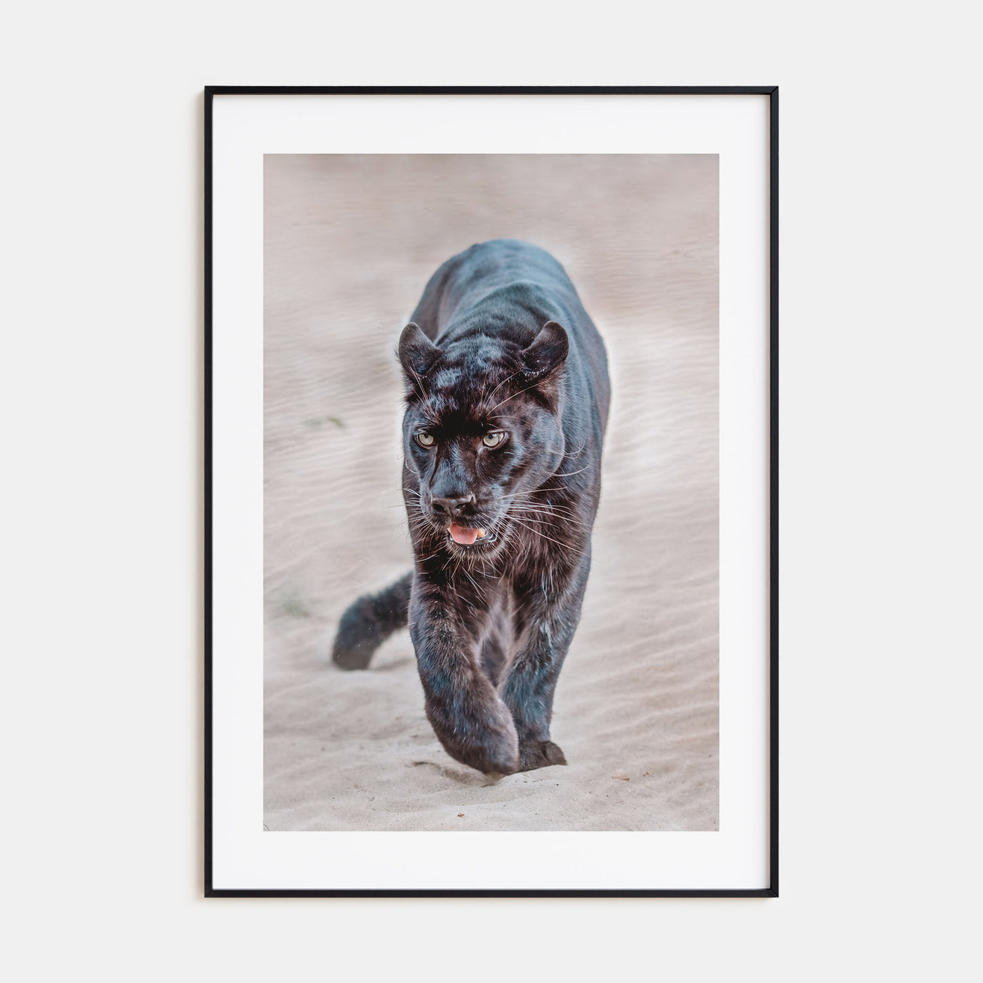 Leopard Photo Color No 1 Poster
