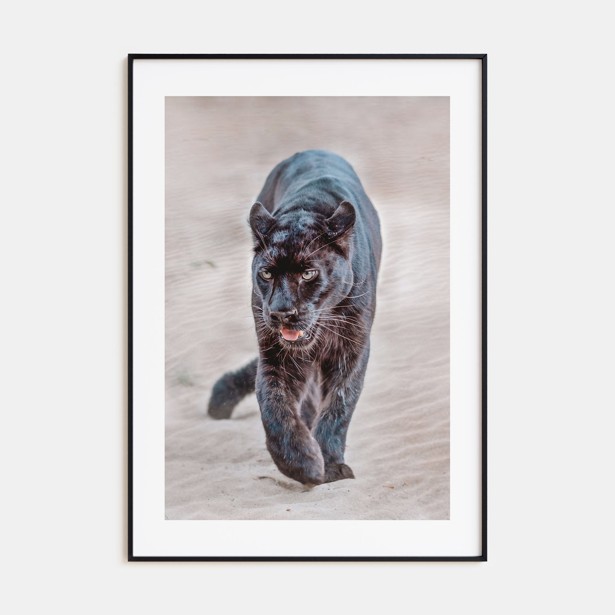 Leopard Photo Color No 1 Poster