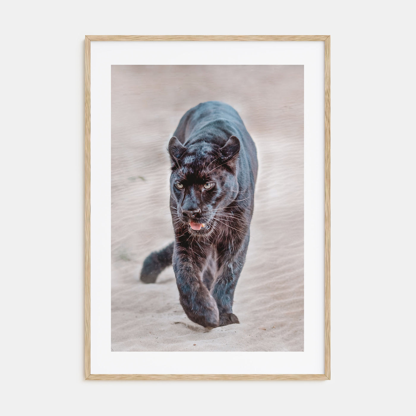 Leopard Photo Color No 1 Poster