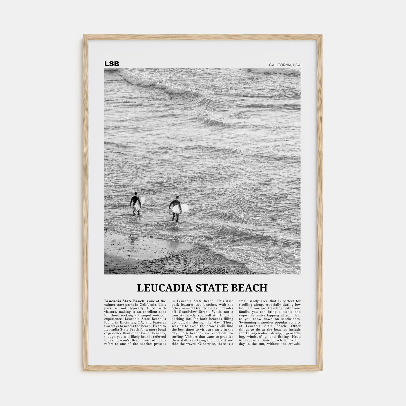 Leucadia State Beach Travel B&W Poster
