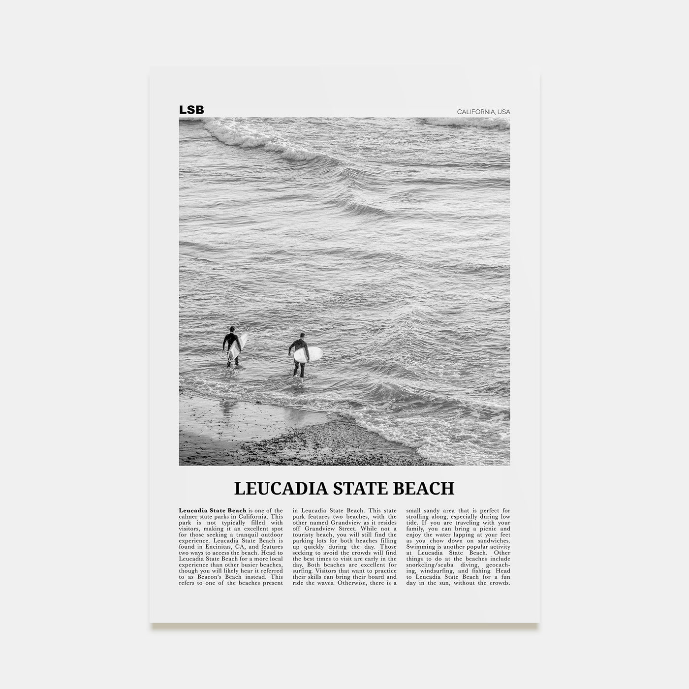 Leucadia State Beach Travel B&W Poster