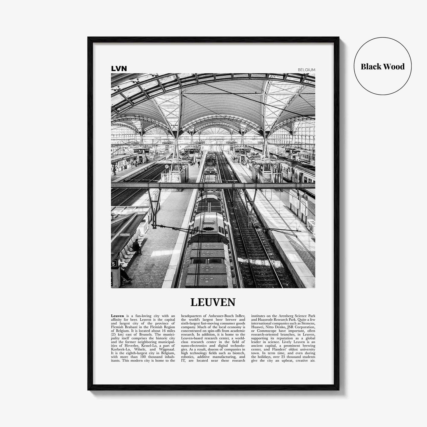 Leuven Print Black and White No 2, Leuven Wall Art Train, Leuven Poster, Leuven Photo, Leuven Wall Decor, Belgium, Louvain, Löwen, Brabant