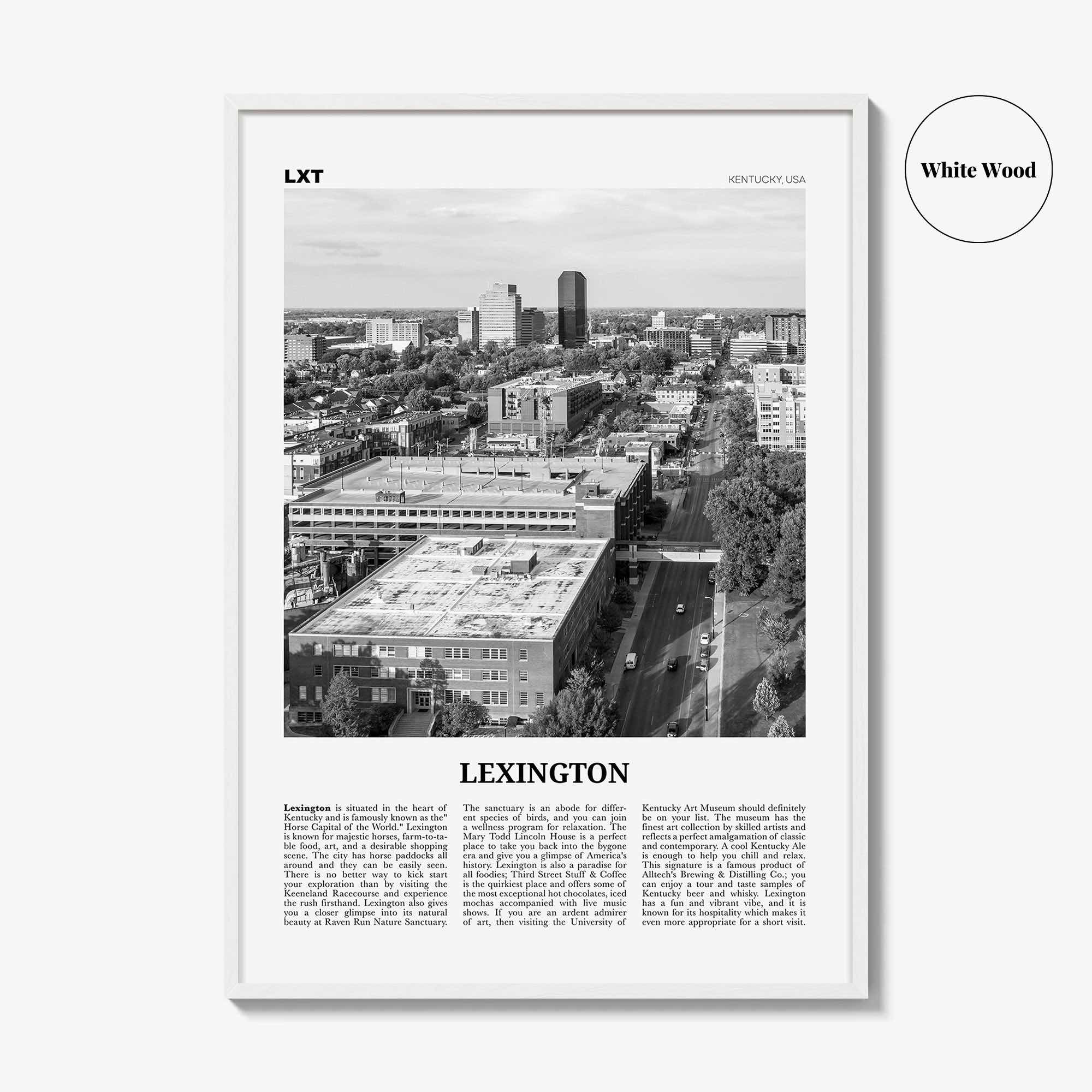 Lexington Print Black and White Kentucky, Lexington Wall Art, Lexington Poster, Lexington Photo, Lexington Wall Décor, United States