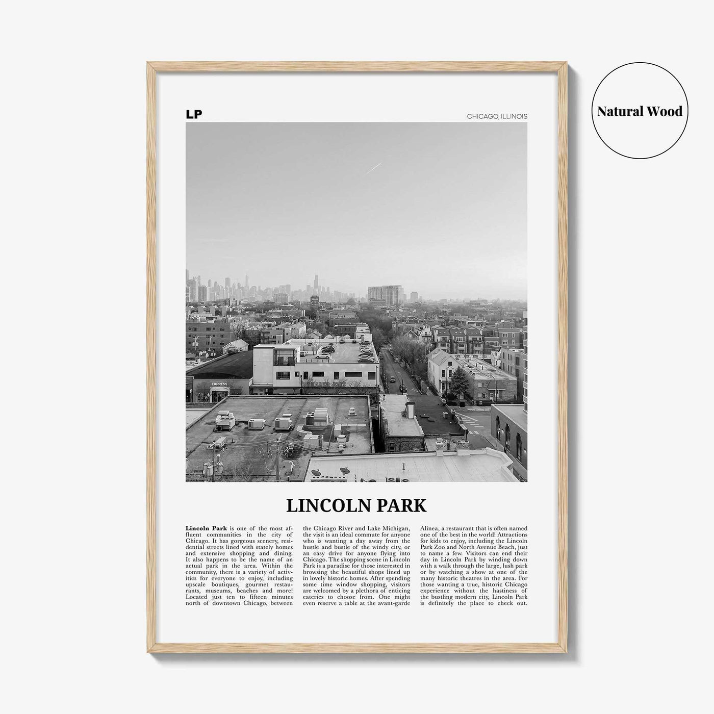 Lincoln Park Print Black and White No 2, Lincoln Park Wall Art, Lincoln Park Poster, Lincoln Park Photo, Chicago, Illinois, USA