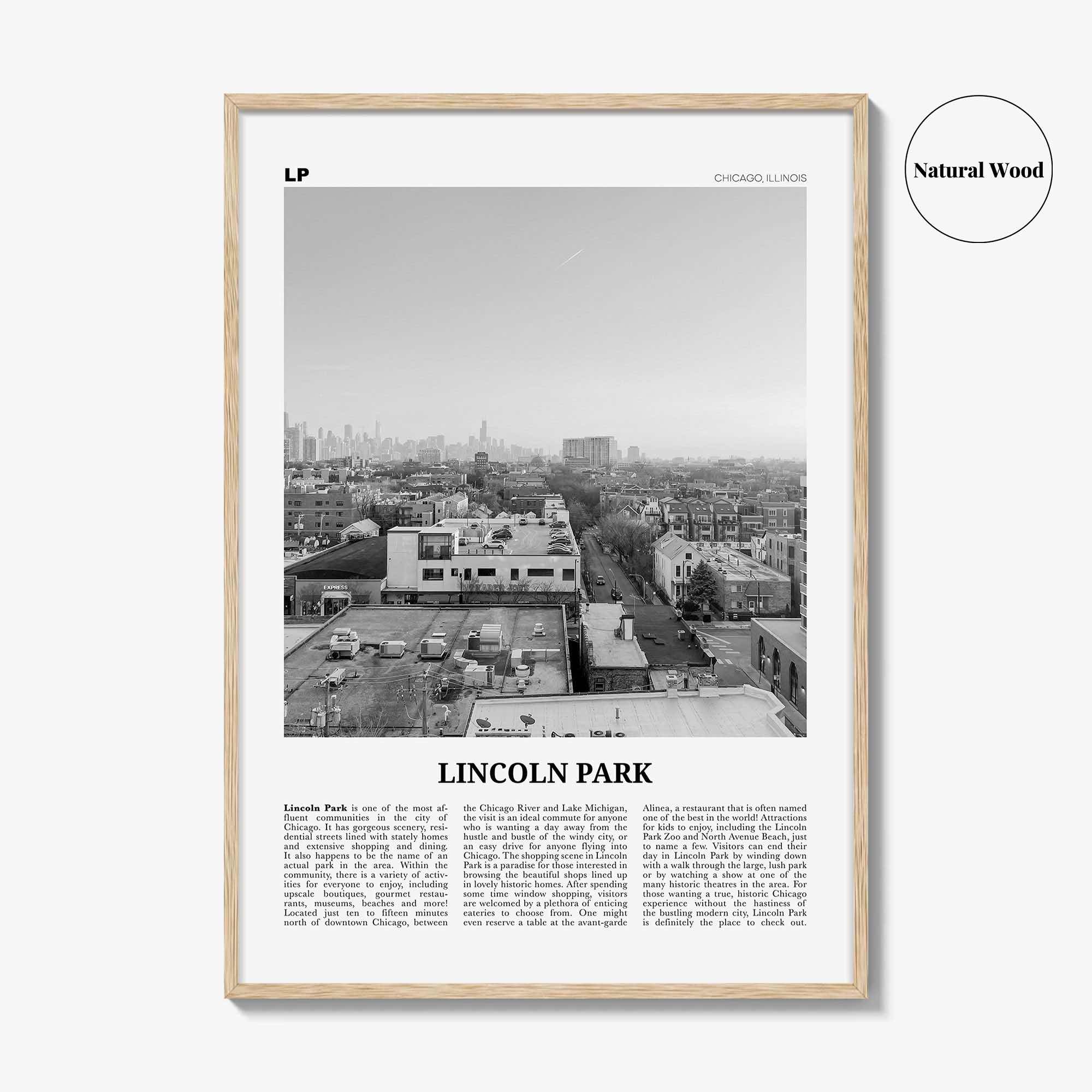 Lincoln Park Print Black and White No 2, Lincoln Park Wall Art, Lincoln Park Poster, Lincoln Park Photo, Chicago, Illinois, USA