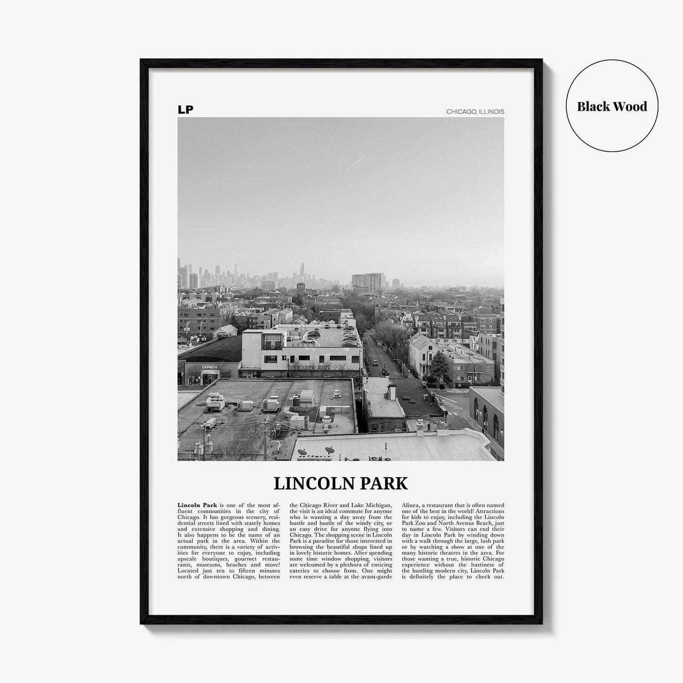 Lincoln Park Print Black and White No 2, Lincoln Park Wall Art, Lincoln Park Poster, Lincoln Park Photo, Chicago, Illinois, USA