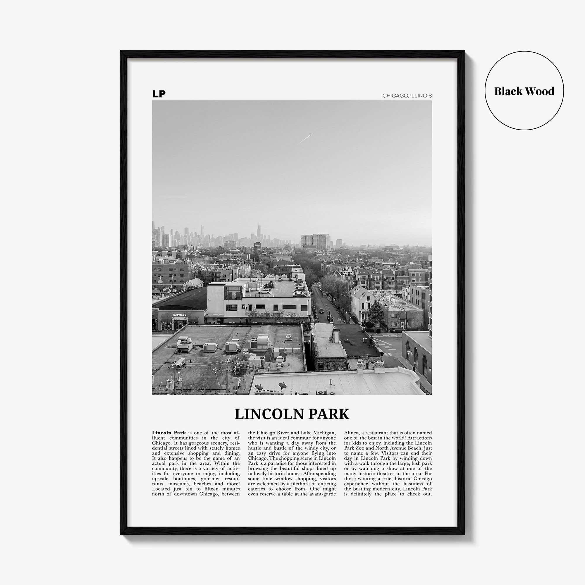 Lincoln Park Print Black and White No 2, Lincoln Park Wall Art, Lincoln Park Poster, Lincoln Park Photo, Chicago, Illinois, USA