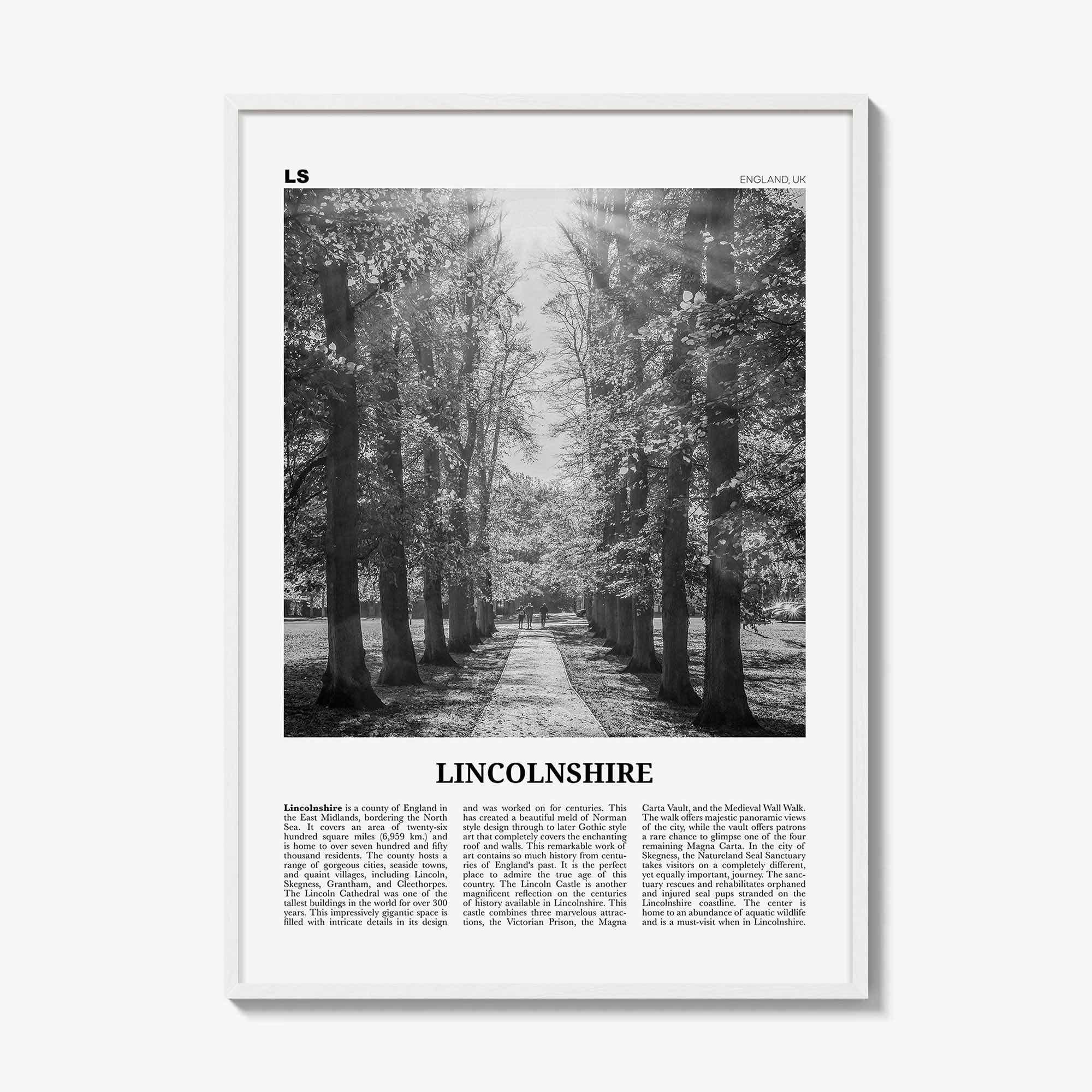 White Wood