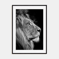 Lion Photo B&W No 1 Poster