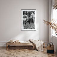 Llama Photo B&W Poster