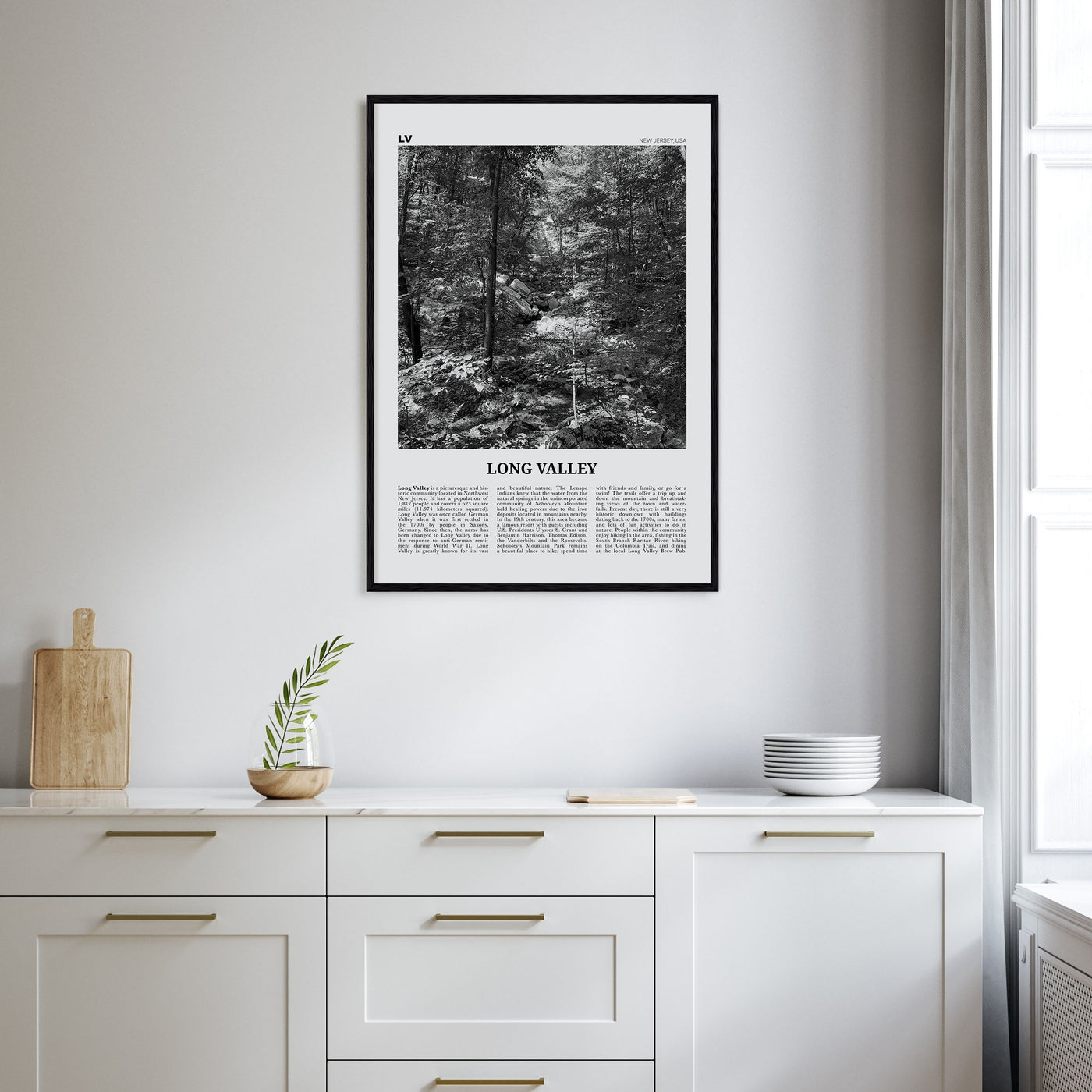 Long Valley Travel B&W Poster