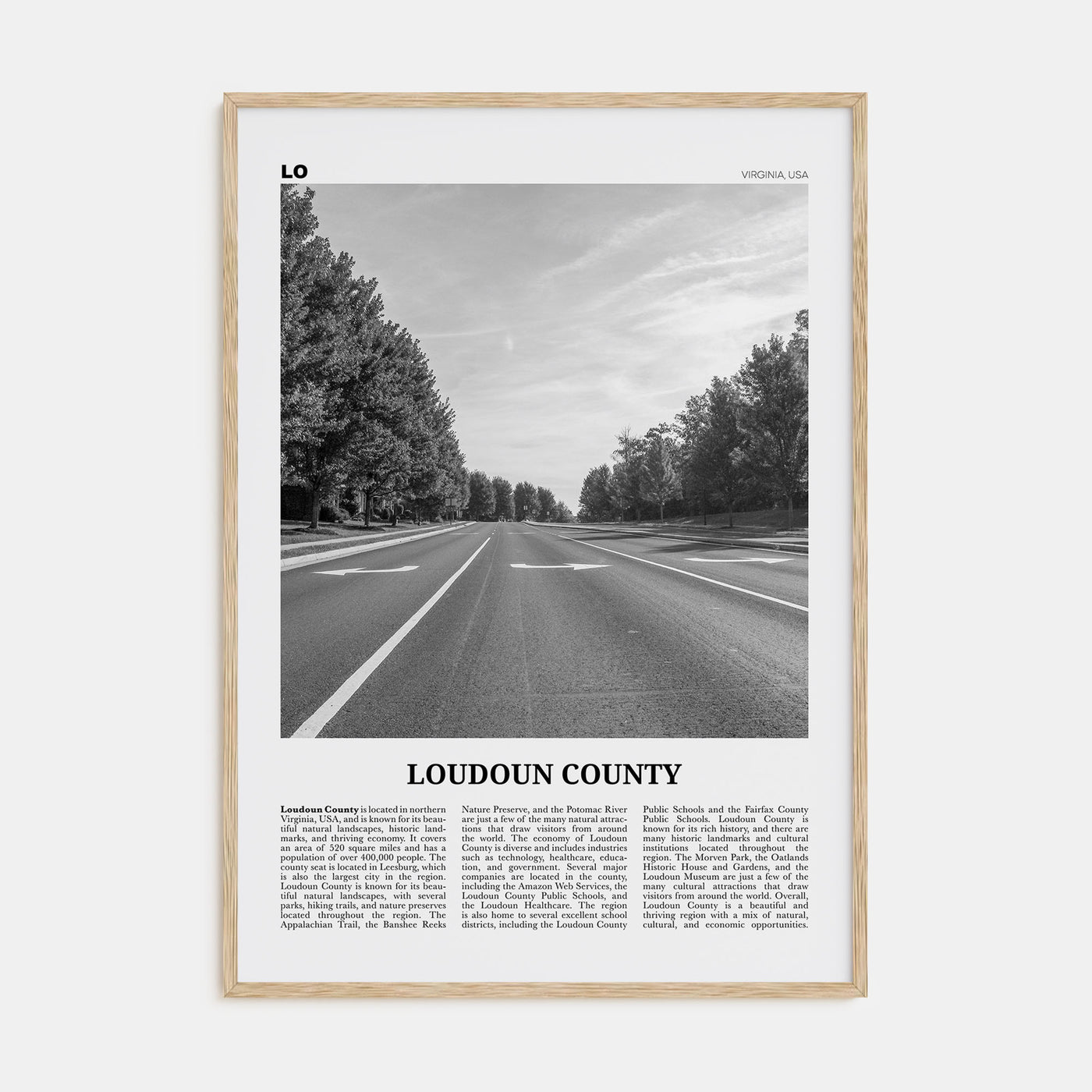 Loudoun County Travel B&W Poster