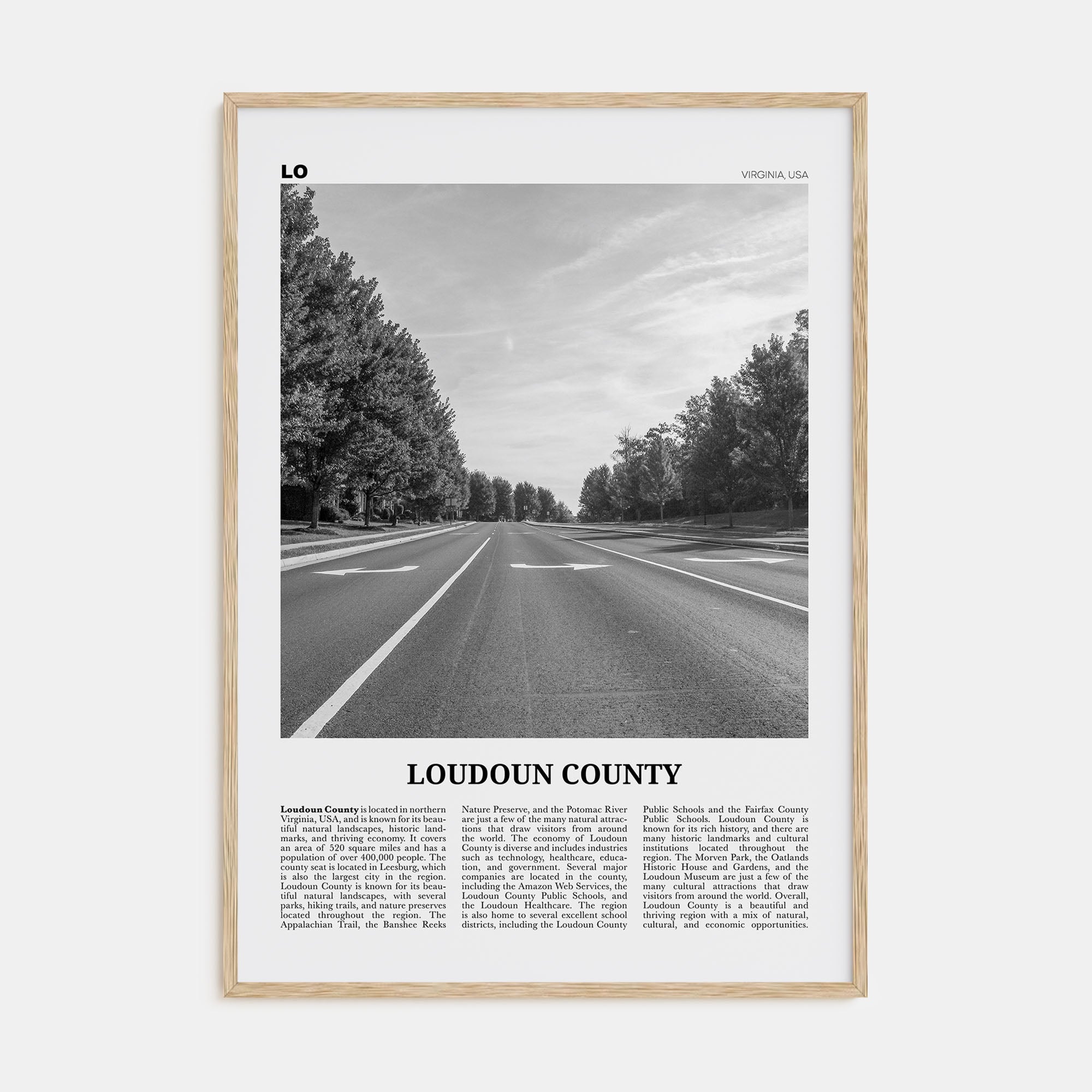 Loudoun County Travel B&W Poster