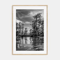 Louisiana Photo B&W Poster