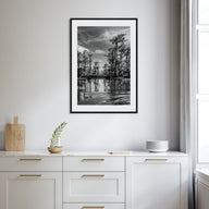 Louisiana Photo B&W Poster
